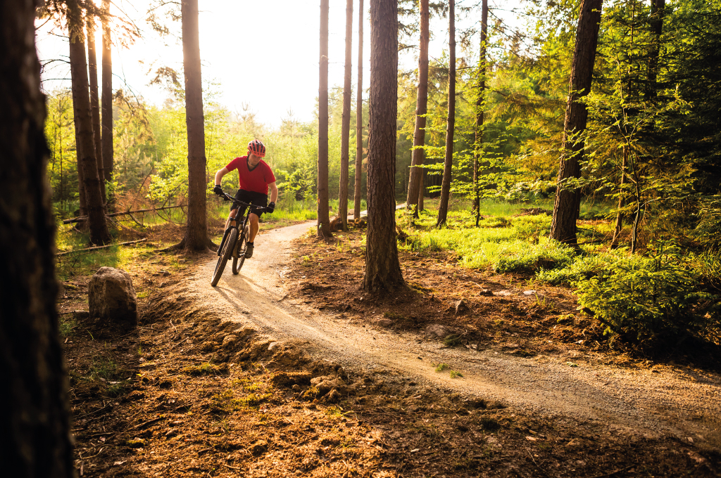 Hopton wood online mtb